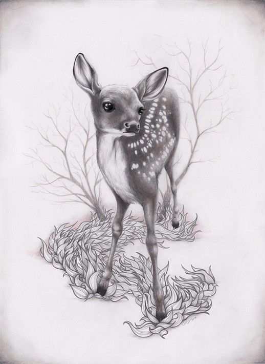 Untitled 2011 News Herten Tekening Dieren Kleurplaten Illustratie Dieren