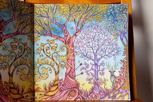 Enchanted Forest Betoverde Woud Johanna Basford Kleurboek Kleurplaten Kleuren
