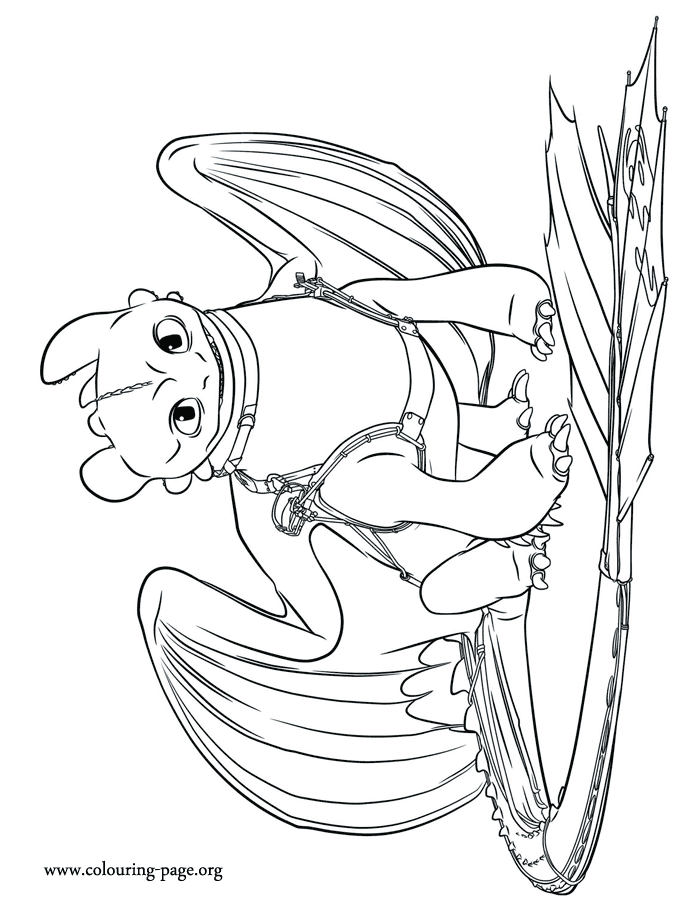How To Train Your Dragon 2 Older Toothless Coloring Page Dragon Coloring Page How Tra