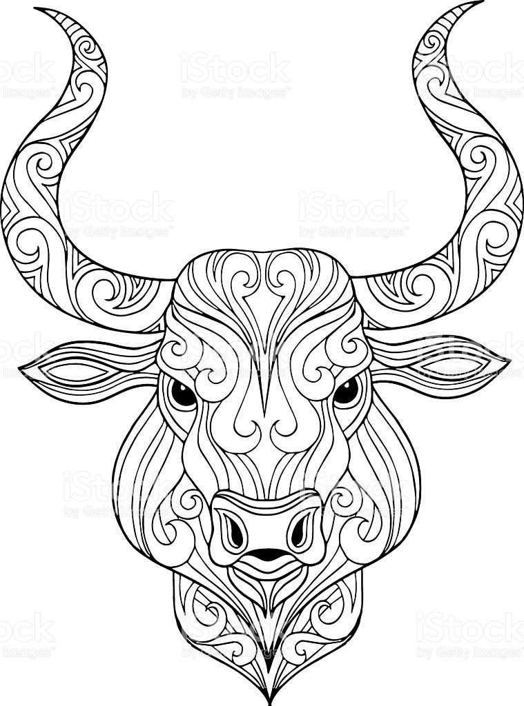 Hand Drawn Ornate Doodle Bull Head Illustration For Coloring Book In 2020