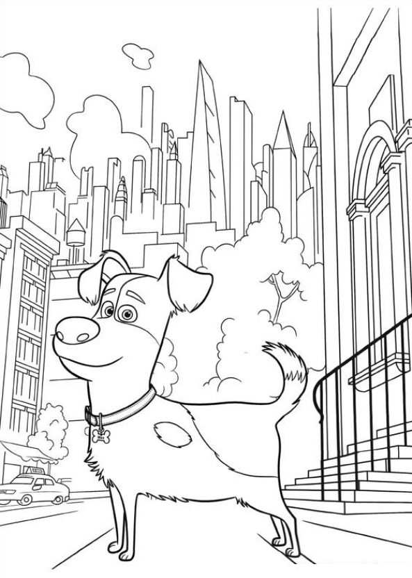 Kids N Fun Com Coloring Page Secret Life Of Pets Huisdiergeheimen Secret Life Of Pets