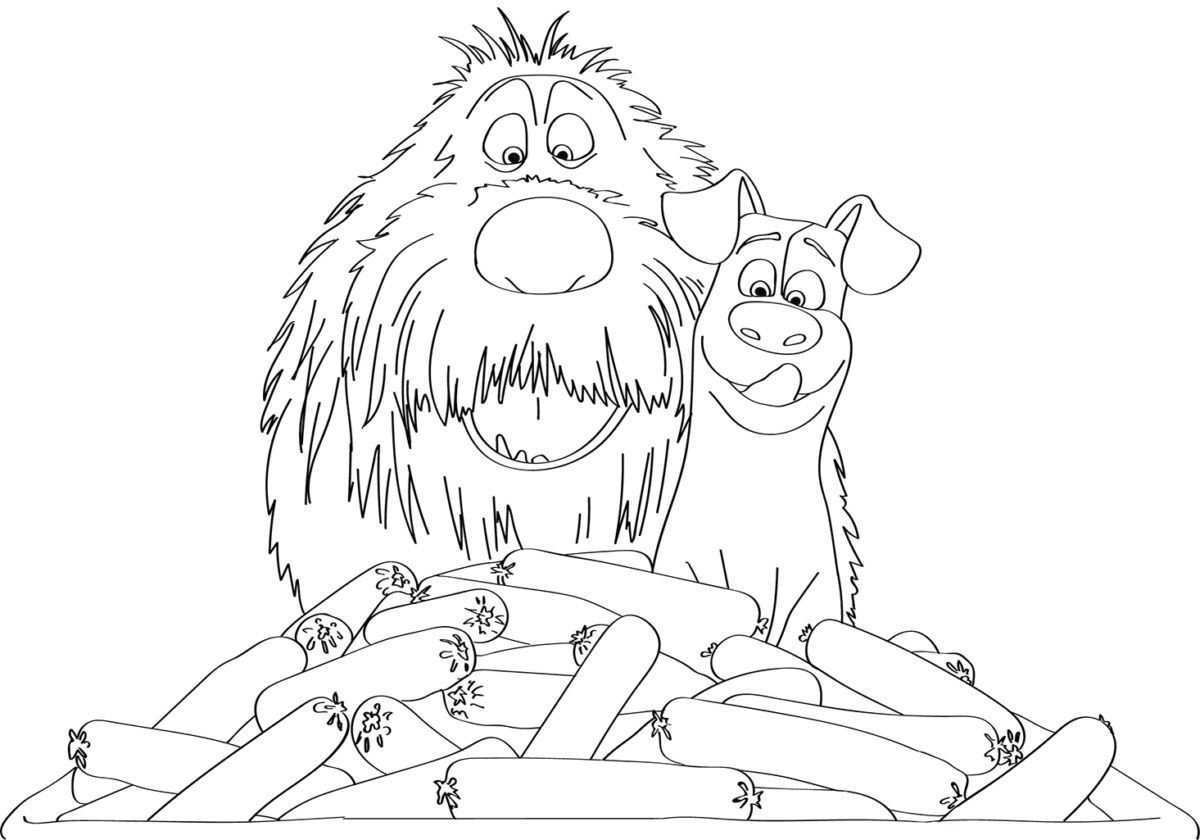 Pin By Maria Teresa On Coloring Pages Secret Life Of Pets Coloring Pages Surprised Dog
