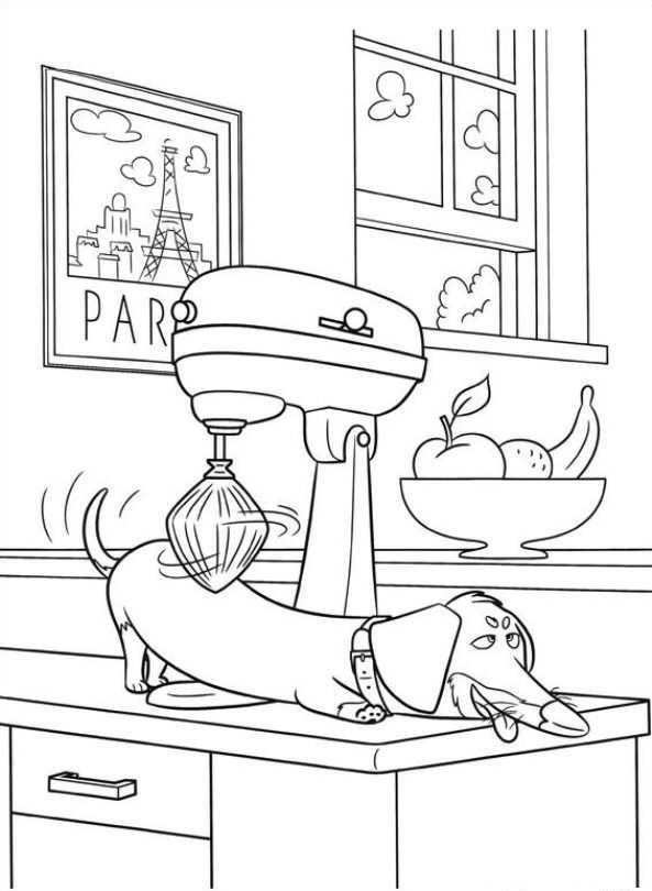 Dachshund Coloring Pages Best Coloring Pages For Kids Coloring Books Coloring Pages F