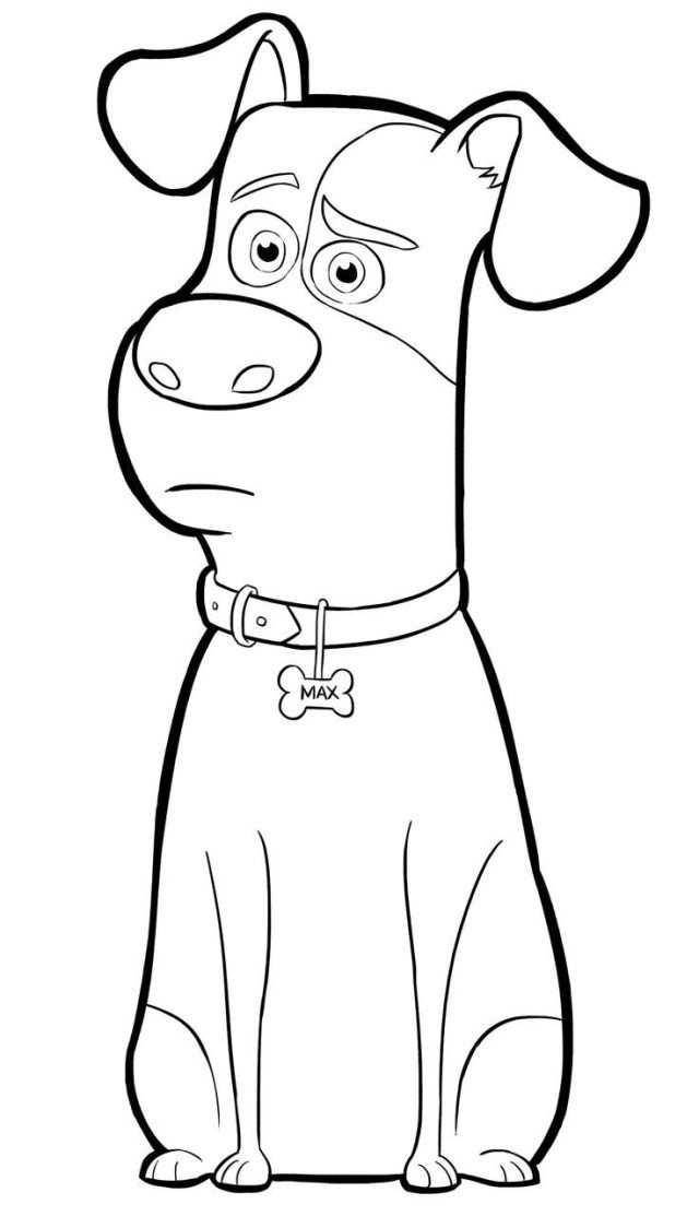 Pin On Free Coloring Pages