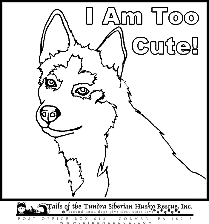 N Husky Colouring Pages Puppy Coloring Pages Dog Coloring Page Siberian Husky