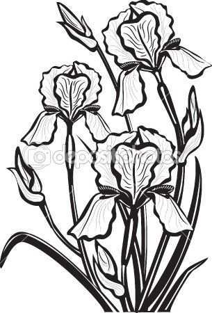 Sketch Of Iris Flowers Kleurplaten Voor Kinderen Kleurplaten Bloemen