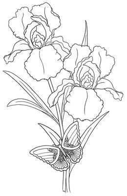 Tekening Patroon Bloem Plant Drawing Template Flower Plant Iris Bloemen Tekenen Patro