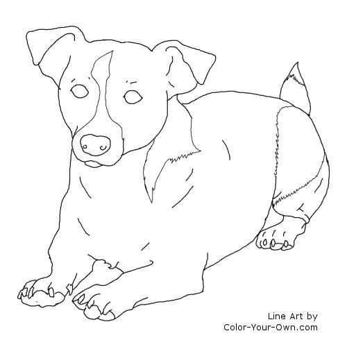 Jack Russel Terrier Dog Laying Down Coloring Page Dog Face Drawing Dog Coloring Page