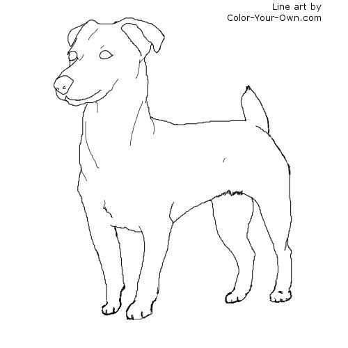 Standing Jack Russell Terrier Dog Coloring Page Jack Russell Dog Coloring Page Dog Pe