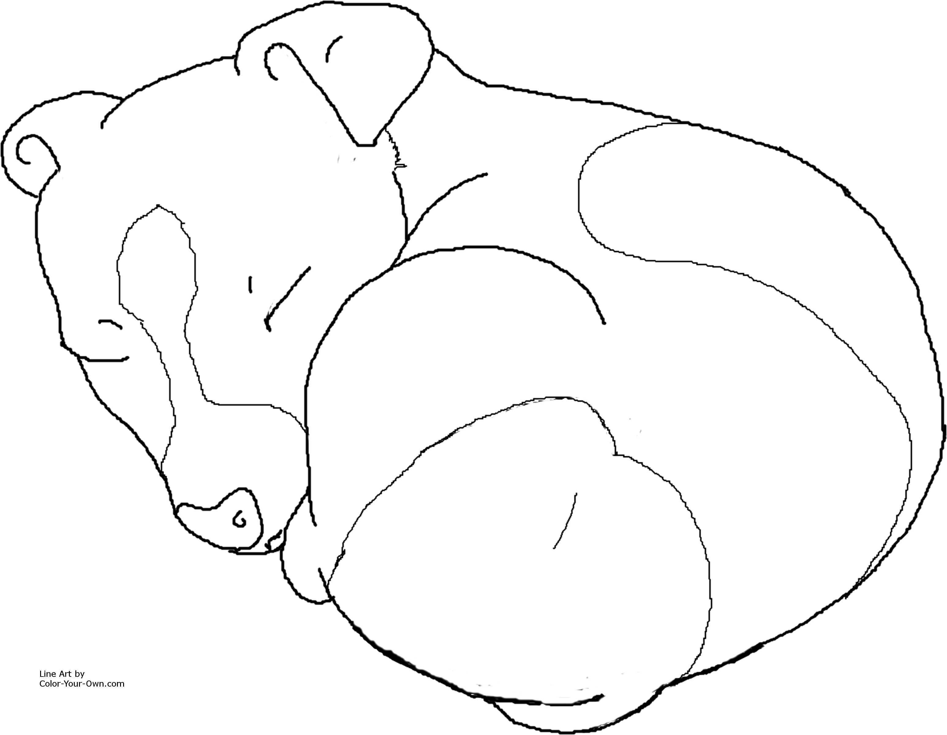Sleeping Jack Russel Terrier Puppy Coloring Page Puppy Coloring Pages Dog Line Drawin