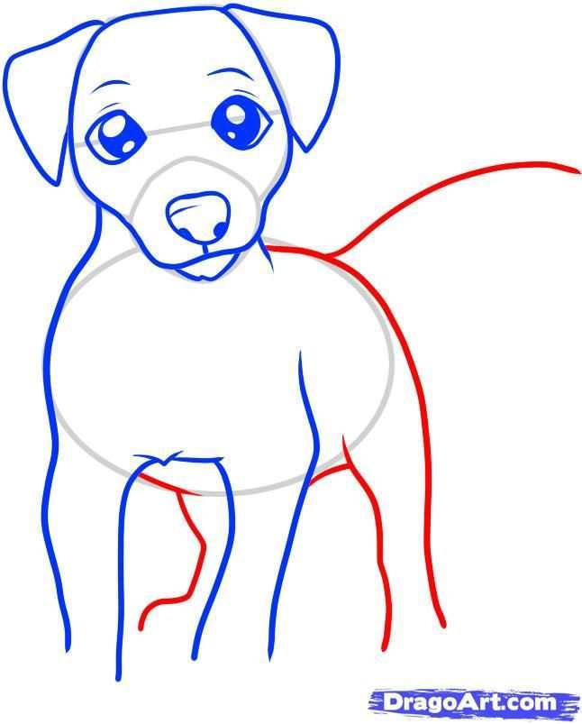 How To Draw A Jack Russell Terrier Step 5 Dieren Tekenen Hondentekening Hond Tekening