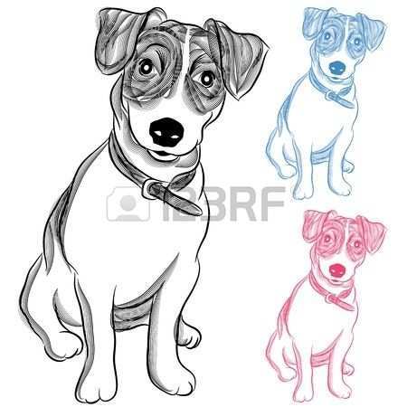 Een Beeld Van Een Ierse Jack Russell Terrier Hond Jack Russells Hond Tekeningen Jack