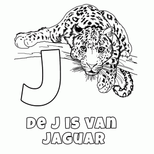 Leuk Voor Kids Dierenalfabet Kleurplaten In 2020 Bujo Doodles Kids Jaguar