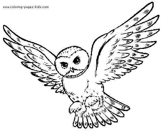 Flying Owl Template Flying Owl Coloring Pages Owl Coloring Pages Owls Drawing Bird Dr