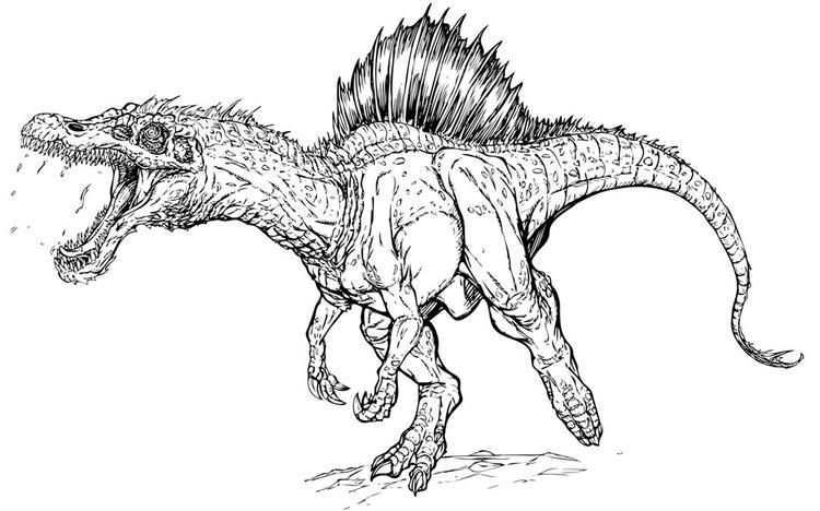Jurassic Park Coloring Pages Spinosaurus Dinosaur Coloring Pages Spinosaurus Dinosaur