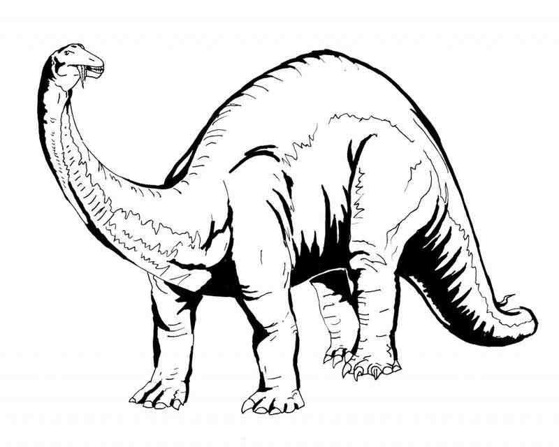 Free Dinosaur Coloring Pages Dinosaurpics Free Dinosaur Coloring Pages From Dinosaurs