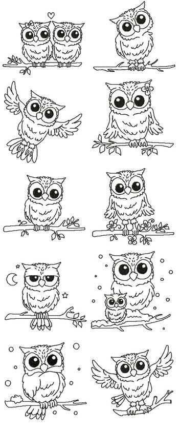 Owl Line Art By Stitching 4 Fun Sfs 42 2 50 Embroidery Passbook Mall Instant Download