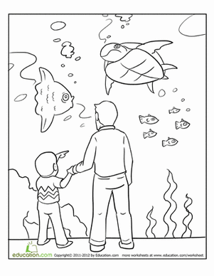Aquarium Worksheet Education Com Coloring Pages Fish Coloring Page Fish Tank Drawing
