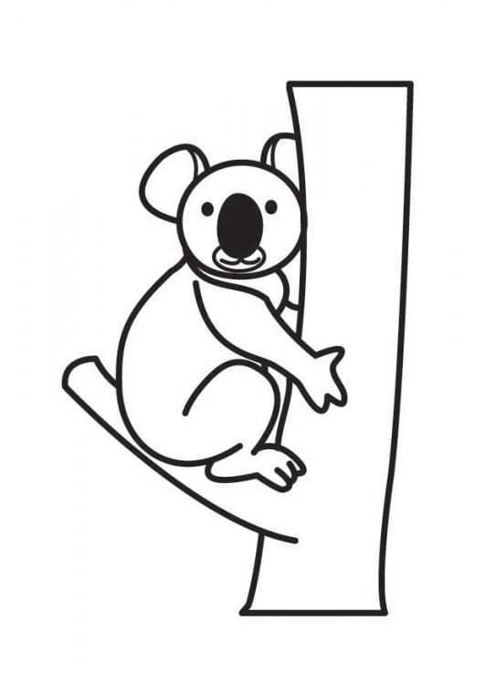 Pin Van Anja Kenis Op Koala Kleurplaten Cartoon Tekeningen Koala