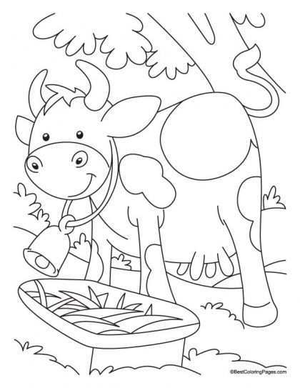 One Cow Outer Another In Water Coloring Page Download Free One Cow Outer Another In W