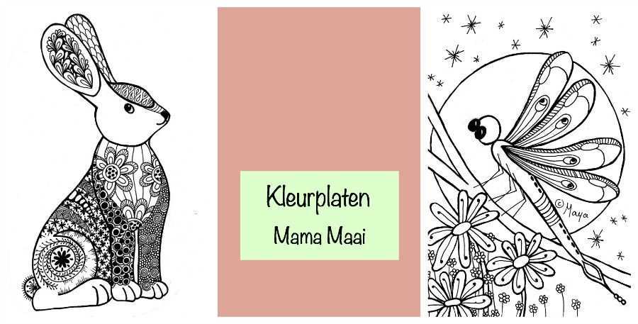 Kleurplaat Konijn En Libelle Mama Maai Kleurplaten Kunst Kinderen Kleurboek