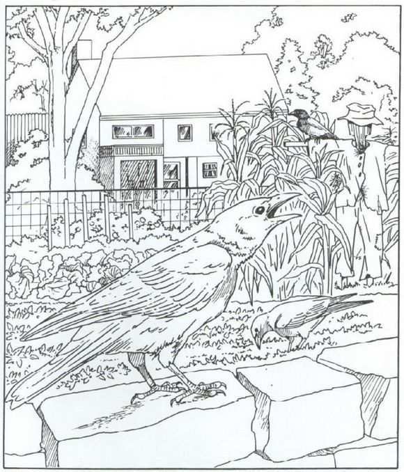 40 Coloring Pages Of Nature Around The House On Kids N Fun Co Uk Op Kids N Fun Vind J