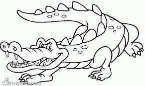 Krokodil Kleurplaat Google Zoeken Kleurplaten Dieren Krokodillen