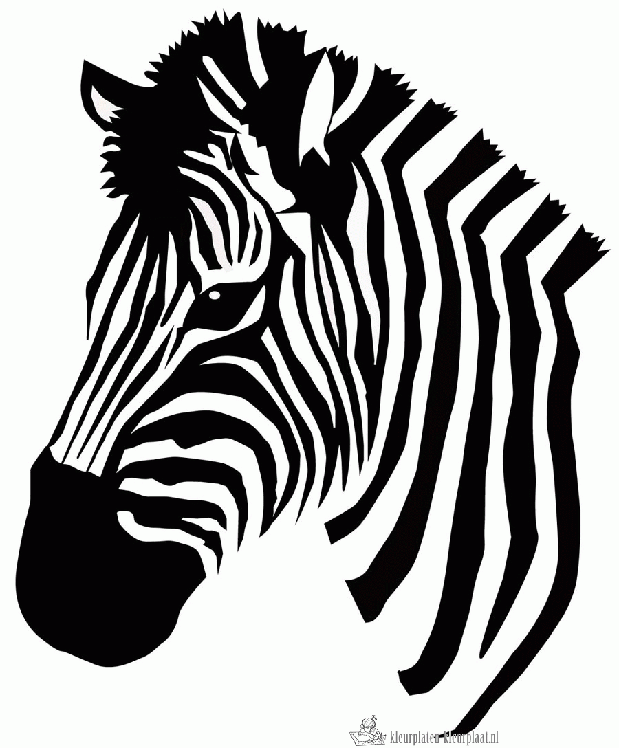 Cigdem Gocer Adli Kullanicinin Flock Applique Panosundaki Pin Desenler Cizim Zebra