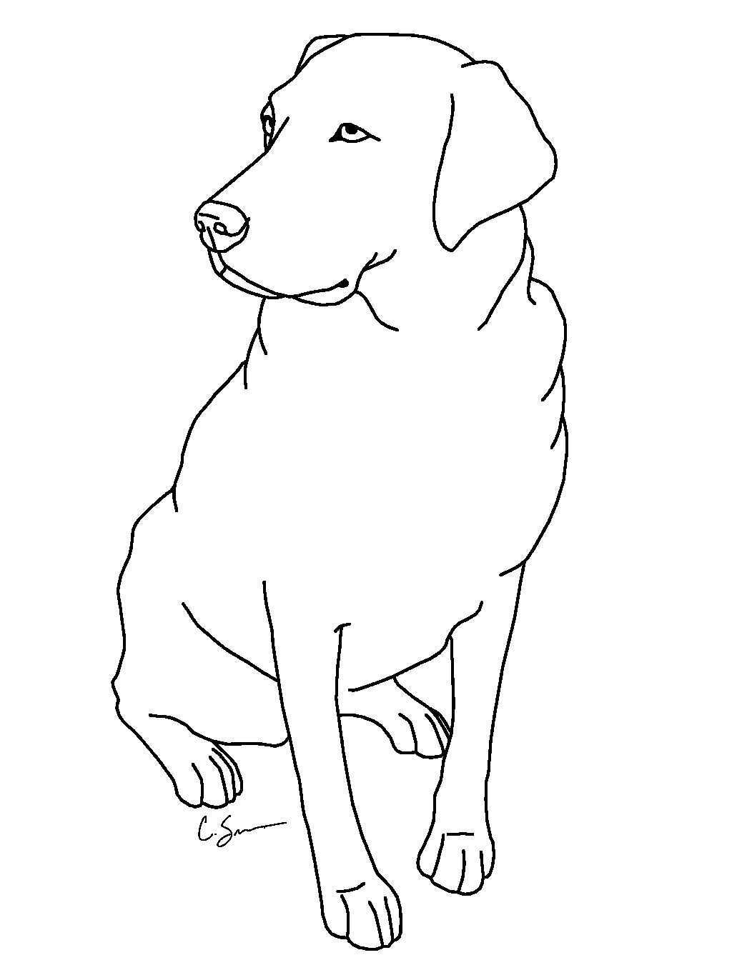 Printable Dog Coloring Pages Ideas For Kids Free Coloring Sheets Dog Coloring Page Pu