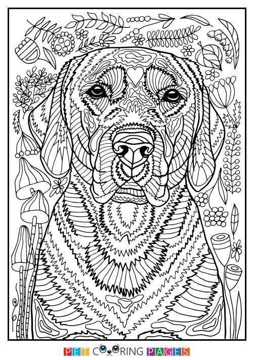 Free Printable Labrador Retriever Coloring Page Available For Download Simple And Det