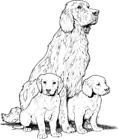 Labrador With Puppies Coloring Page From Dogs Category Select From 24104 Printable Cr