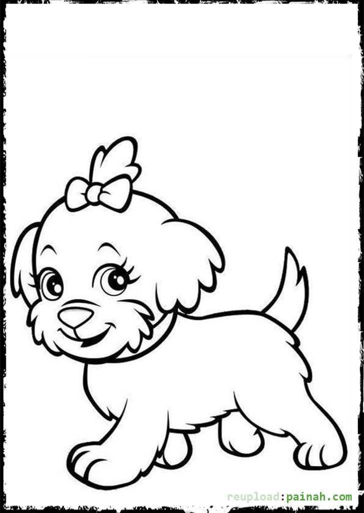 Cute Puppies Coloring Pages For Kids Painah Com Gambar Hewan Hewan Gambar