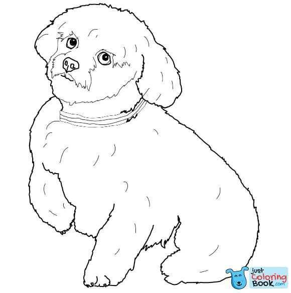 Pin Di Dog Coloring Pages