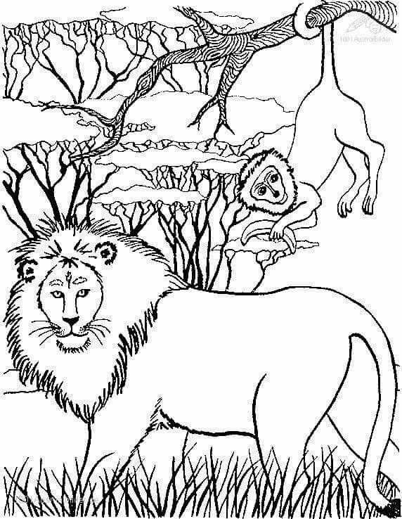 Pin By Wilma Wilhelmus On Stunning Sketches Art Paintings Coloring Pages Cool Coloring Pages Animal Coloring Pages