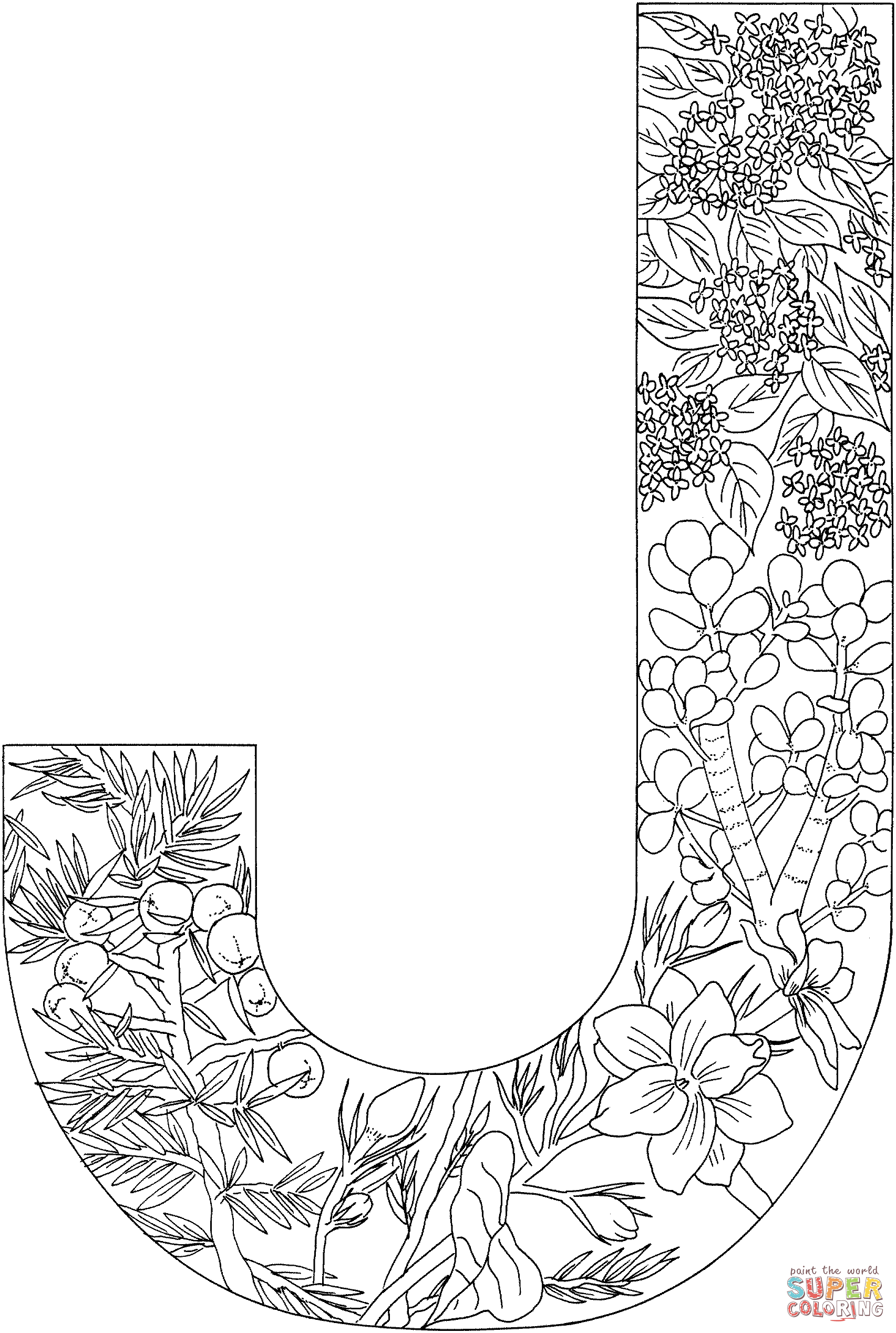 Letter J With Plants Coloring Page Free Printable Coloring Pages Name Coloring Pages