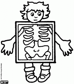 Kind In X Stralen Om Te Zien De Botten Van Het Lichaam Kleurplaat Menselijk Lichaam A