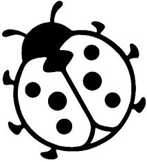Lieveheersbeestje Kleurplaat Google Zoeken Lieveheersbeestje Lieveheersbeestje Knutse
