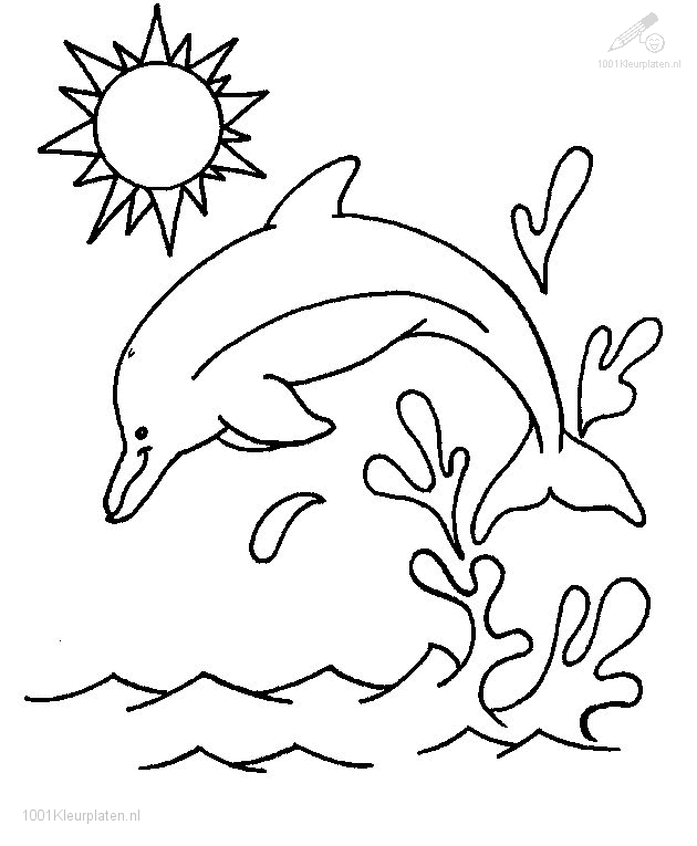 Dolfijn Dieren Kleurplaten Dolfijnen Kleurplaten