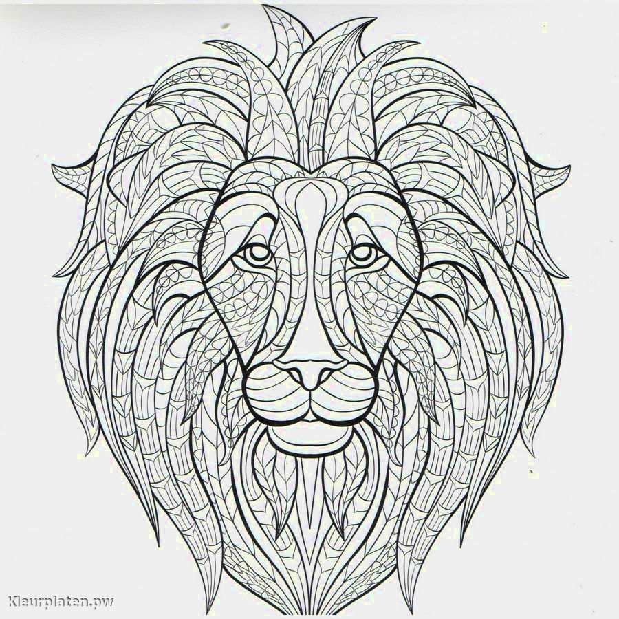 Kleurplaten Volwassenen Google Zoeken Lion Coloring Pages Animal Coloring Pages Manda