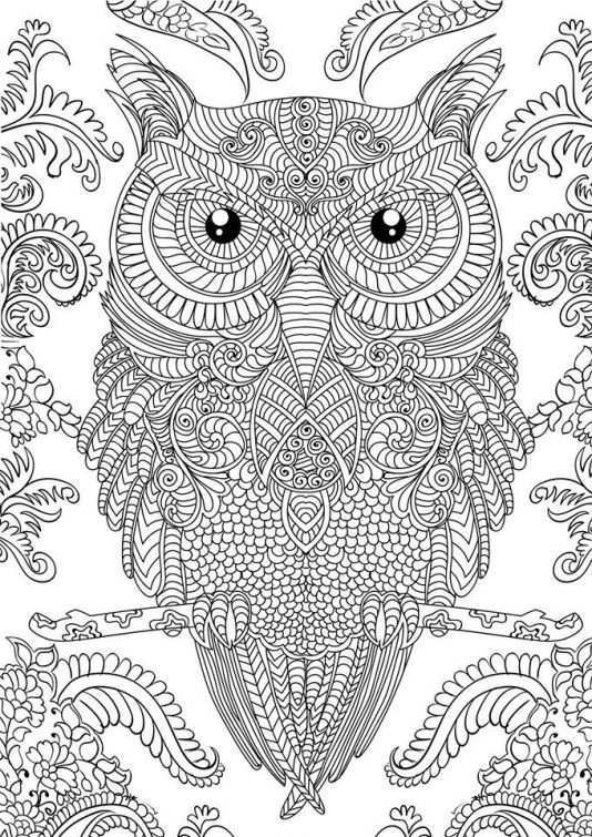 Owl Doodle Art Hard Coloring Page Free To Print For Grown Ups Letscolorit Com Owl Col