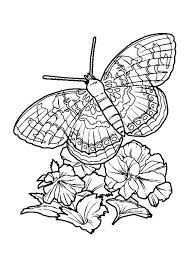 Afbeeldingsresultaat Voor Vlinders En Bloemen Kleurplaten Ausmalbilder Kinder Ausmalb