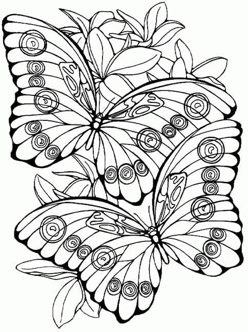 Coloring Page Butterflies Butterflies Dibujos De Mariposas Mariposas Para Colorear Di