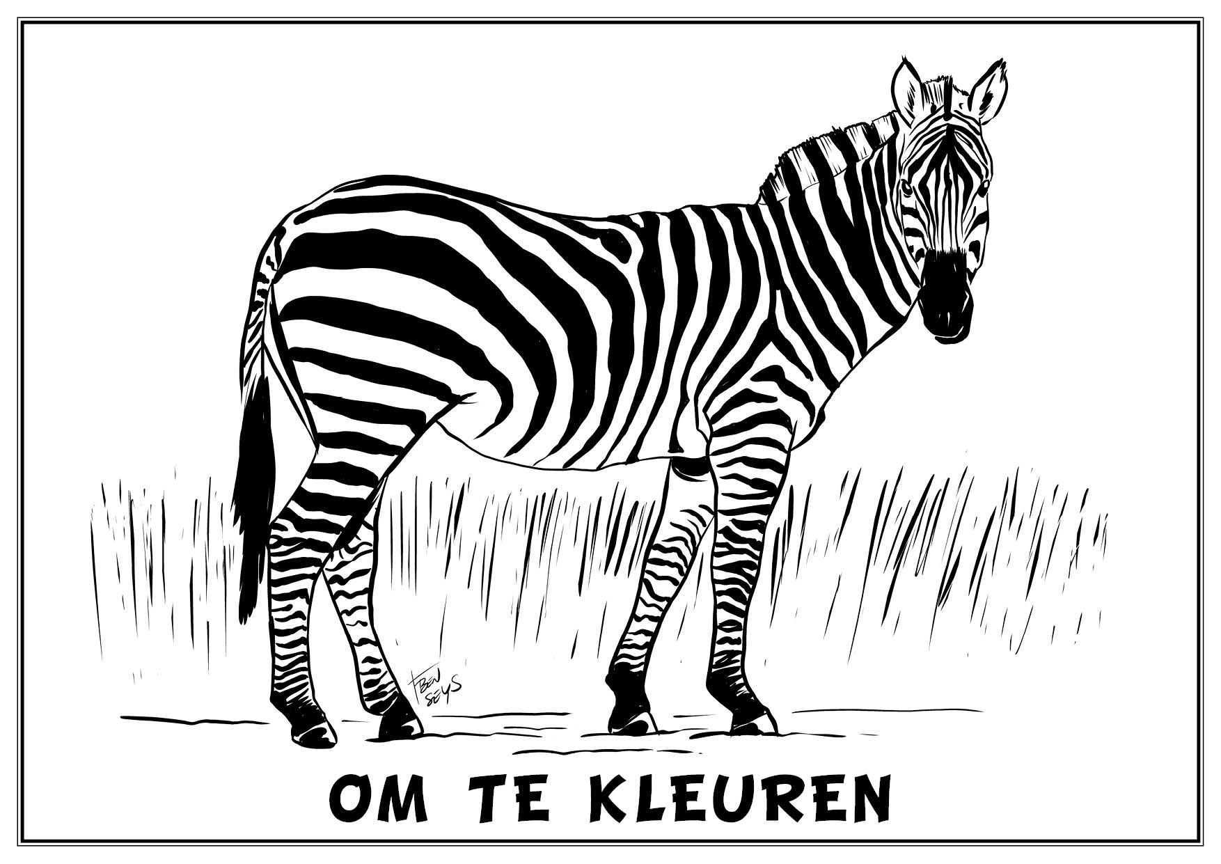 Colouring Page By Ben Seys In 2020 Zebra S Kleuren Drawing