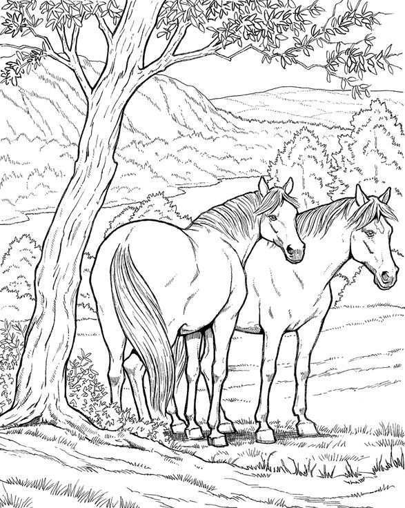 Kleurplaat Van 2 Paarden Onder Een Boom Even Uitrusten In De Schaduw Voordat Ze Weer