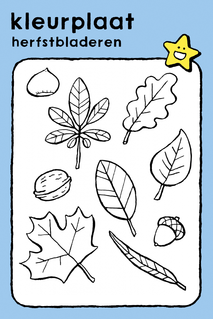 Pin Op Kiddicolor Coloring Pages