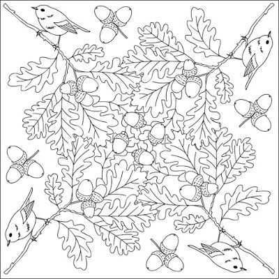 Nicole S Free Coloring Pages Vogel Malvorlagen Kostenlose Ausmalbilder Bunte Zeichnun