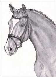 Afbeeldingsresultaat Voor Mooi Paard Tekenen Paard Tekeningen Dieren Tekenen Paardenhoofd
