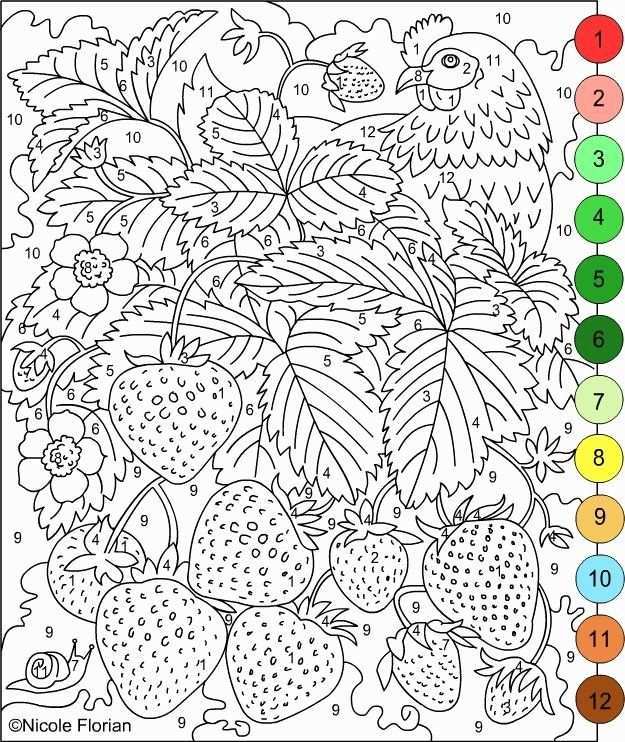 Color By Number Coloring Books For Adults Inspirational Coloring For Adults Kleuren V