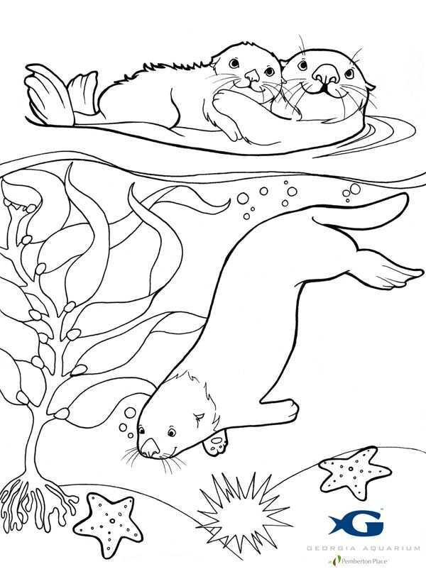 Subjects Pokemon Sea Otter Coloring Page Coloring Pages Take Sea Otter Coloring Pages Bird Coloring Pages Animal Coloring Pages Free Coloring Pages