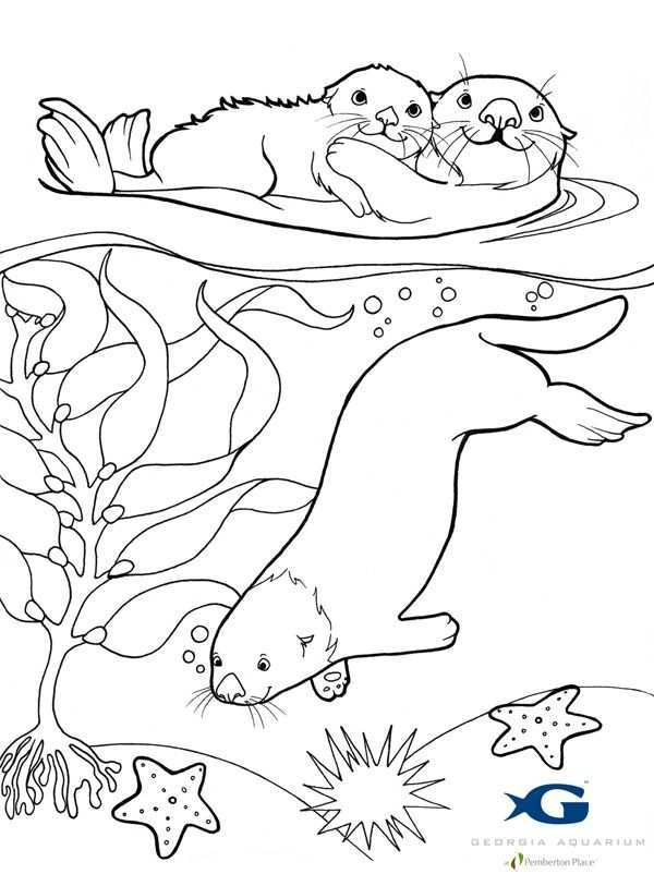 Subjects Pokemon Sea Otter Coloring Page Coloring Pages Take Sea Otter Coloring Pages